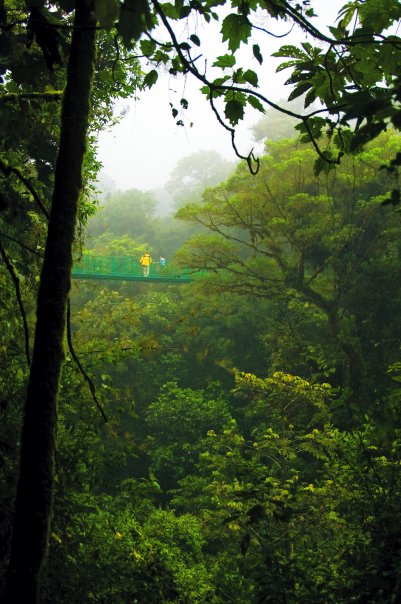 Selvatura One Day Tour
